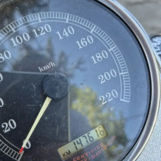 HARLEY-DAVIDSON FLSTF FAT BOY 2004 - Imagen 8