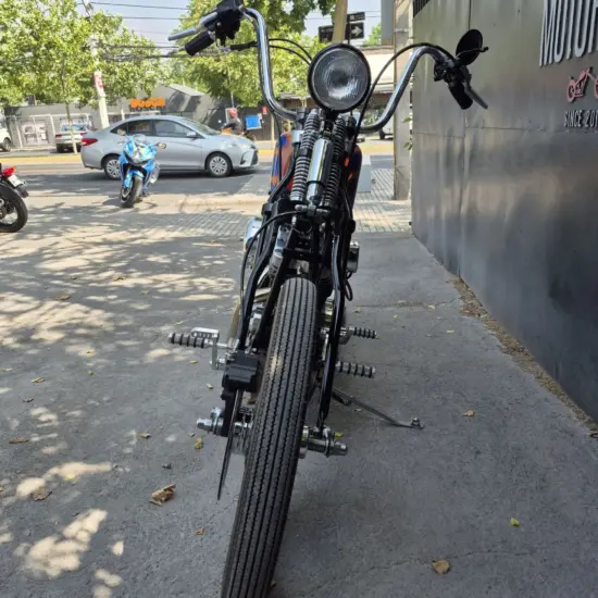 HARLEY-DAVIDSON SPORTSTER SPRINGER CUSTOM 2004 - Imagen 4