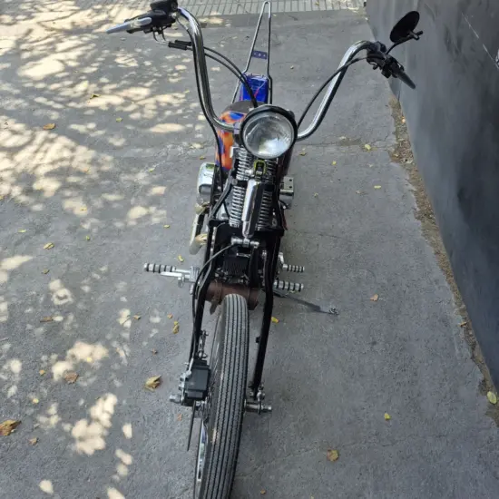 HARLEY-DAVIDSON SPORTSTER SPRINGER CUSTOM 2004 - Imagen 5