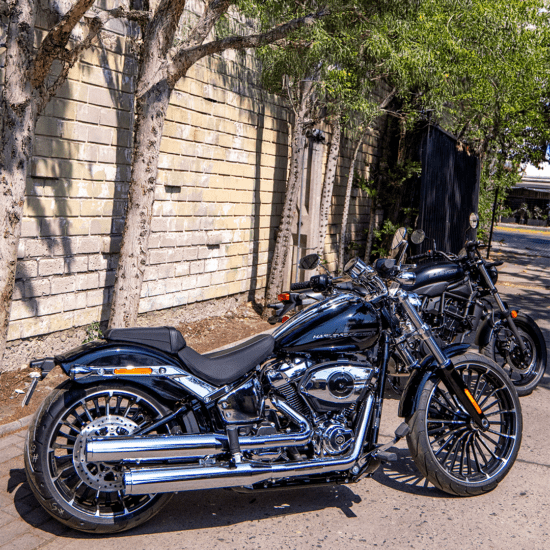 Ilustraciones Digitales - Imagen 5