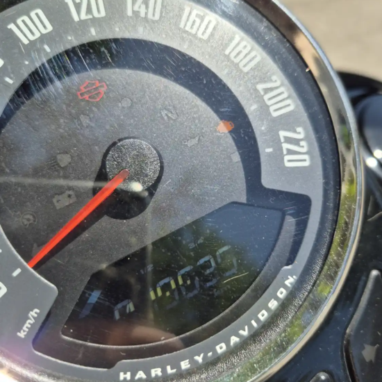 HARLEY-DAVIDSON FLS103 SOFTAIL SLIM 2021 - Imagen 8