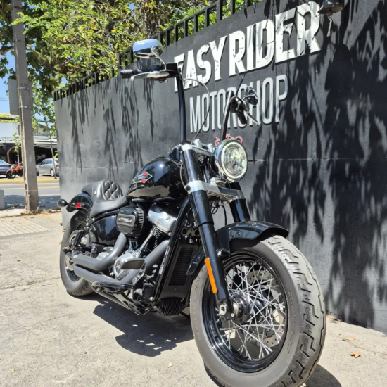 HARLEY-DAVIDSON FLS103 SOFTAIL SLIM 2021 - Imagen 2