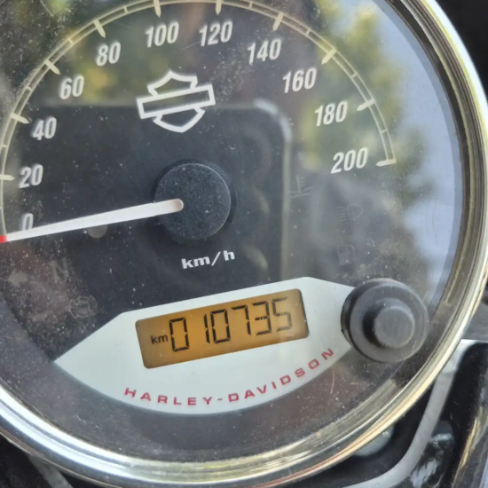 HARLEY-DAVIDSON STREET XG 750 2021 - Imagen 8