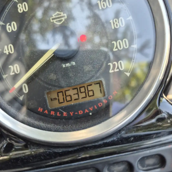 HARLEY-DAVIDSON XL 1200 X FORTY EIGHT 2015 - Imagen 8