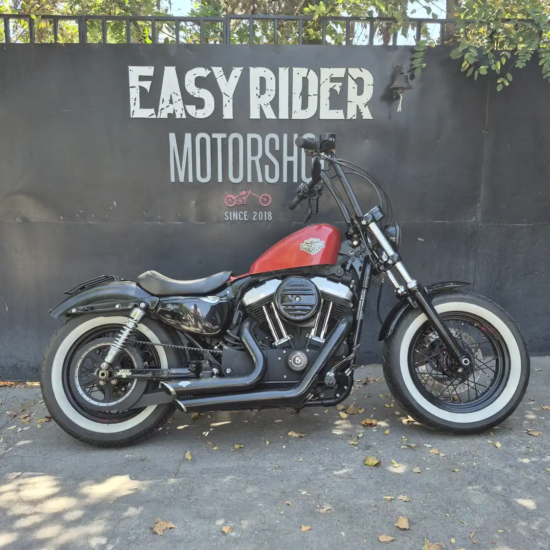 HARLEY-DAVIDSON XL 1200 X FORTY EIGHT 2015