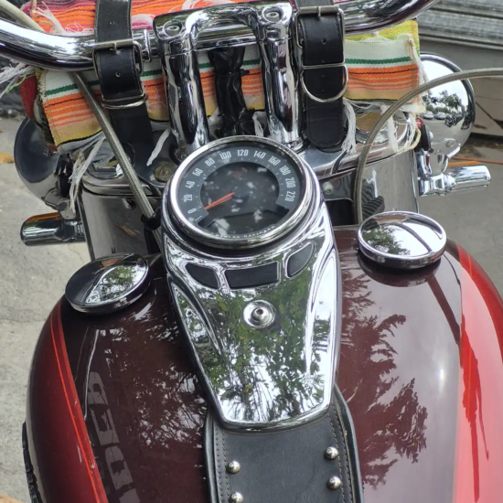 HARLEY-DAVIDSON FLSTN SOFTAIL DELUXE 2019 - Imagen 8