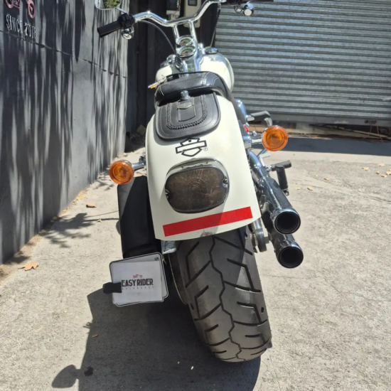 HARLEY-DAVIDSON FXLR LOW RIDER 2019 - Imagen 5