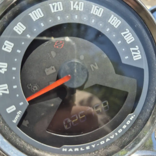 HARLEY-DAVIDSON FXLR LOW RIDER 2019 - Imagen 8