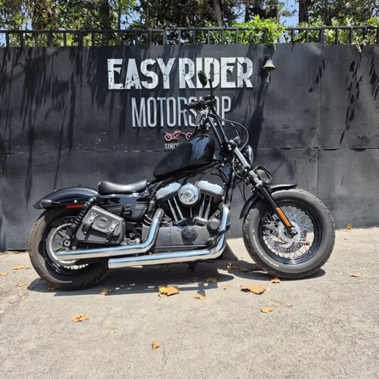 HARLEY-DAVIDSON XL 1200 FORTY EIGHT 2014 - Imagen 1