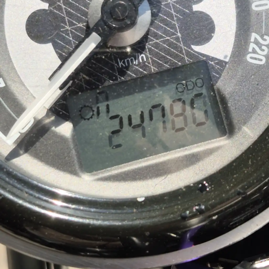 TRIUMPH SPEED TWIN 2021 - Imagen 7