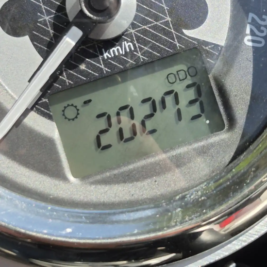 TRIUMPH SPEEDTWIN 2022 - Imagen 8