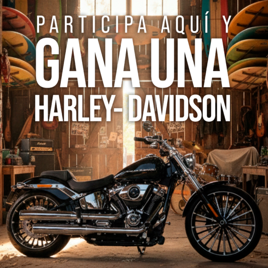 Ilustraciones Digitales - Imagen 1