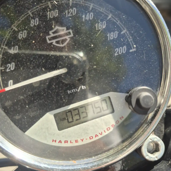 HARLEY-DAVIDSON STREET ROD 750 2018 - Imagen 8