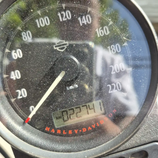 HARLEY-DAVIDSON XL883 L SPORTSTER SUPER LOW 2019 - Imagen 8