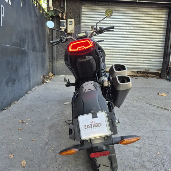 INDIAN FTR1200 RALLY 2020 - Imagen 6