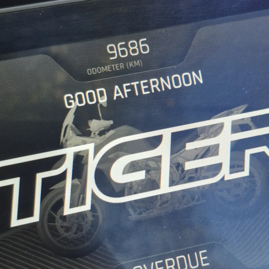 TRIUMPH TIGER 900 GT 2025 - Imagen 8