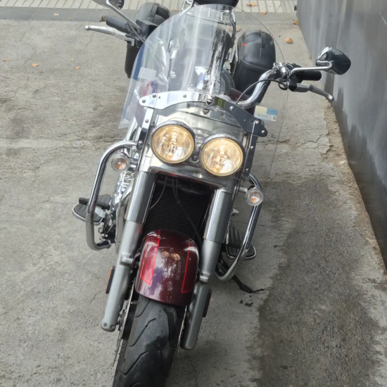 TRIUMPH THUNDERBIRD 2015 - Imagen 4