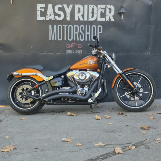 HARLEY-DAVIDSON BREAKOUT 2014 - Imagen 1
