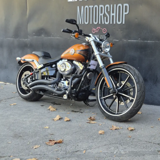 HARLEY-DAVIDSON BREAKOUT 2014 - Imagen 7