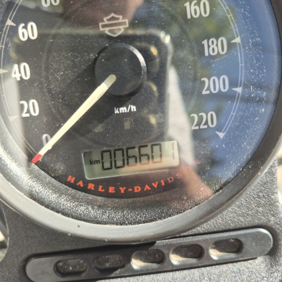 HARLEY-DAVIDSON SPORTSTER IRON 883 2020 - Imagen 8