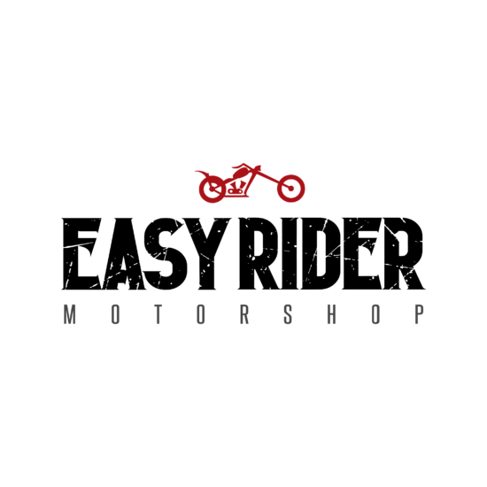 LINK DE PAGO PANIGALE V4 - Imagen 1