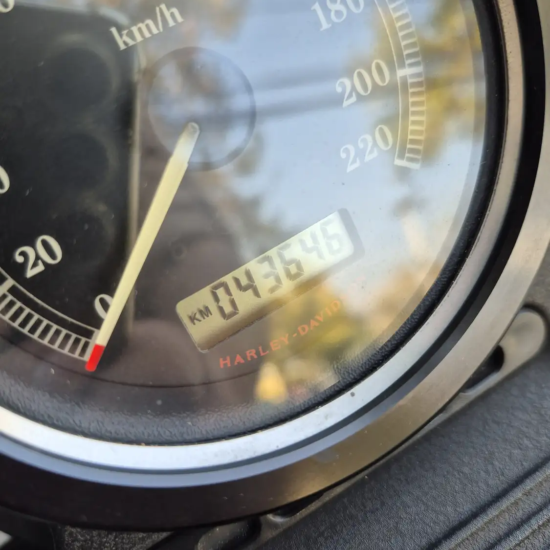 Odómetro Harley-Davidson Iron 883 2013 mostrando 43.645 km verificados