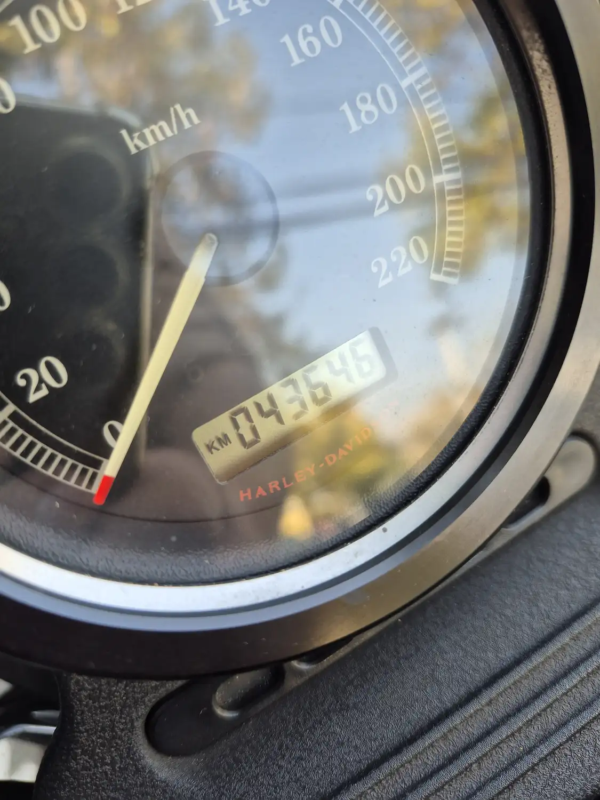 Odómetro Harley-Davidson Iron 883 2013 mostrando 43.645 km verificados