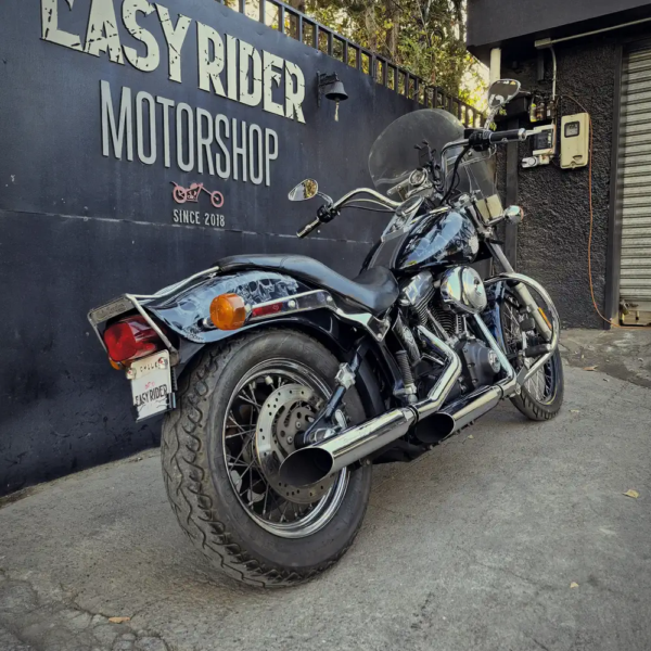 Harley-Davidson Softail usada 2000 trasera custom paint calaveras escapes cromados