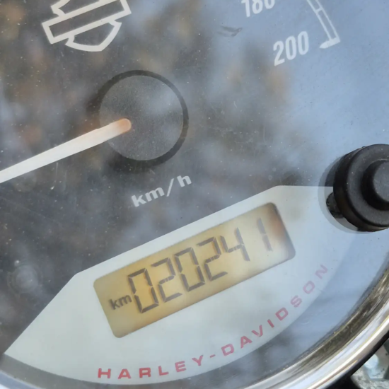 Odómetro Harley-Davidson Street 750 2019 usada 20241 km verificados